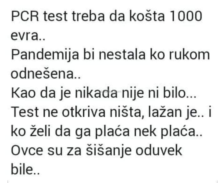 PCR-test-prc.jpg