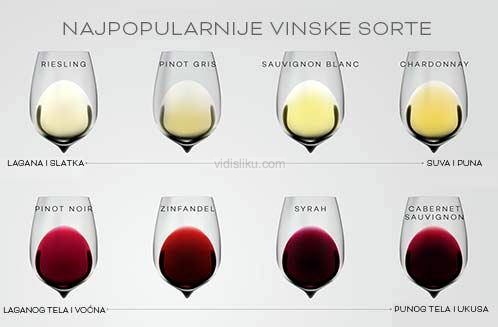 Najpopularnije-sorte-vina
