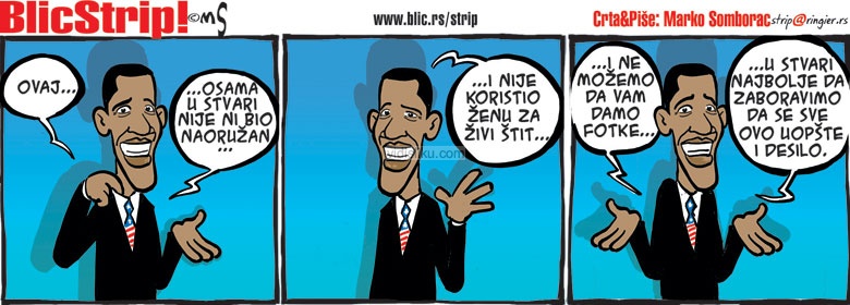 06.05.2011-Blic-Strip.jpg