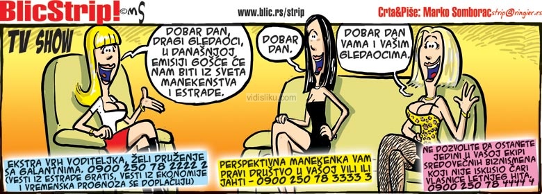 28.07.2011-Blic-Strip.jpg